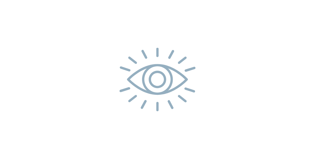 Vision