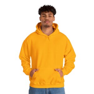 Adult Unisex Plain Hoodies